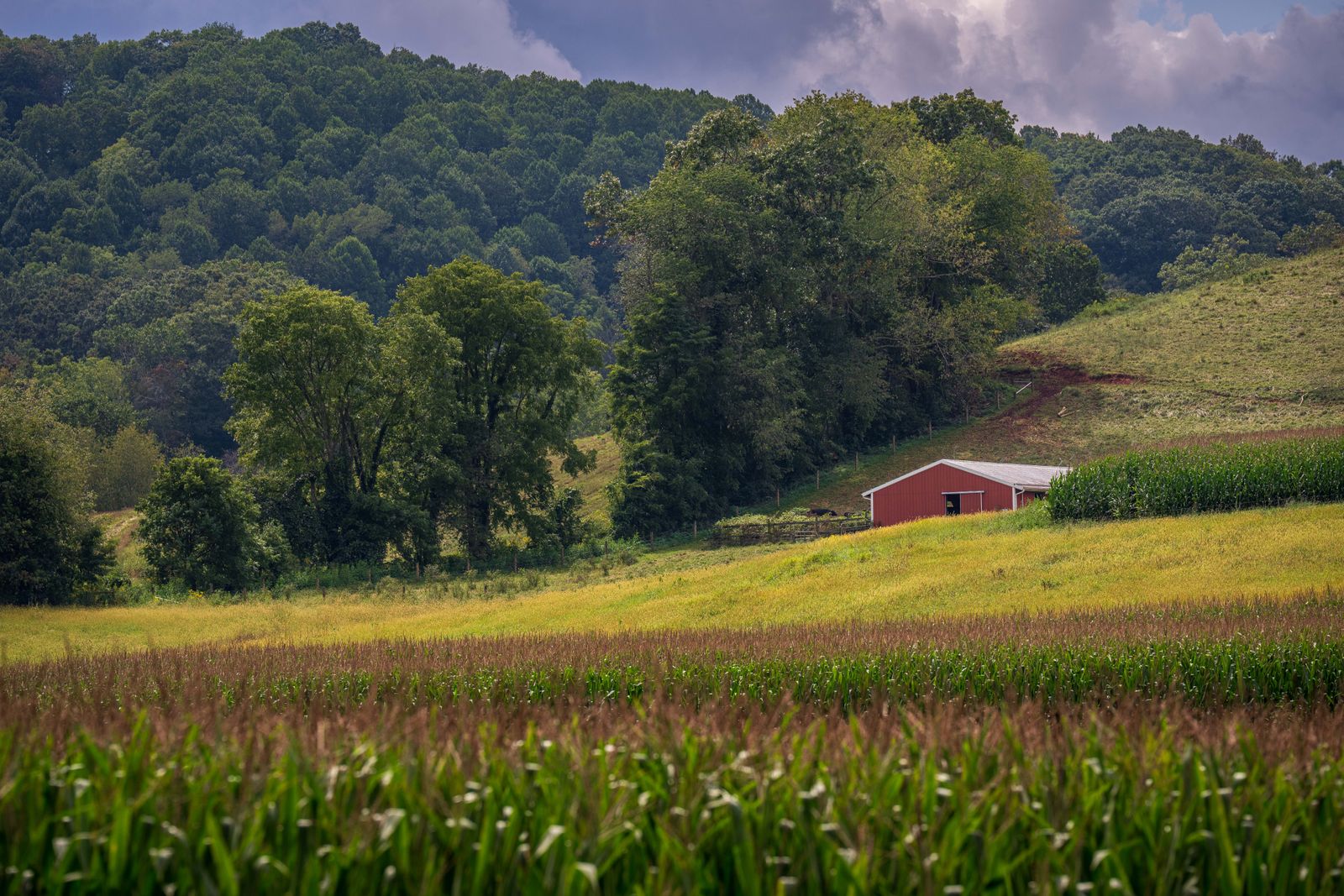 A red barn among green fields and hills
